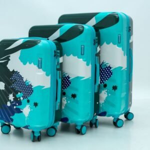 DesertWay Textured Hard-Sided Multicolor (Blue) Trolley Suitcases Combo